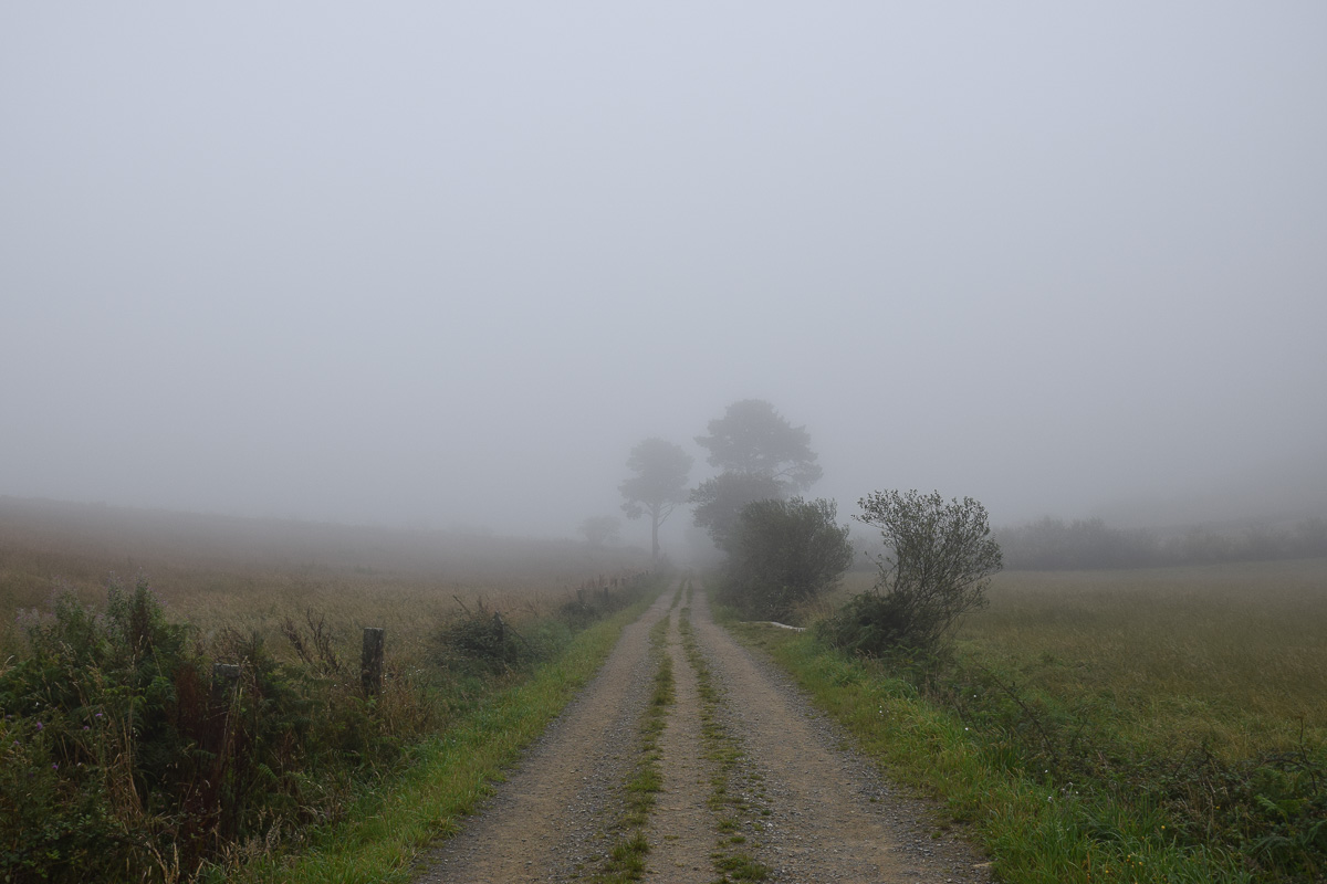 témoignage chemin compostelle