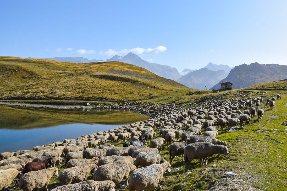 trek lac savoie tignes