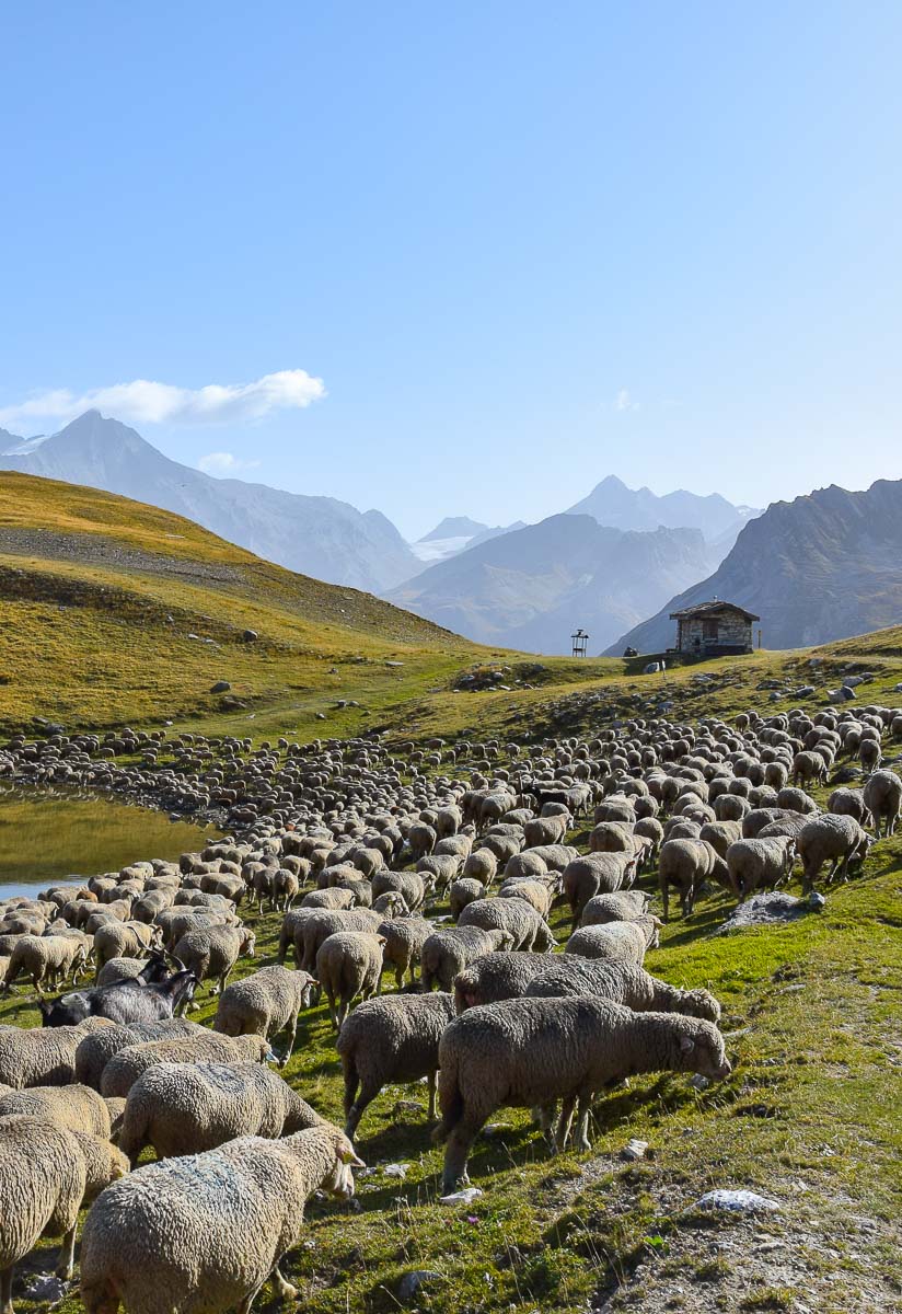 Road trip en Savoie et treks autour des plus beaux lacs: récit de voyage en van aménagé, détail de mon itinéraire de deux semaines, conseils pratiques et infos pour savoir où faire de la randonnée... | Histoires de tongs, le blog voyage passionnément alternatif