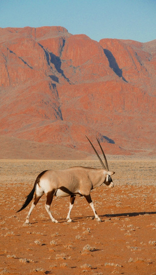 Récit de voyage de 3 semaines en Namibie à petit budget, avec des compagnons de choc... | Histoires de tongs, le blog voyage passionnément alternatif