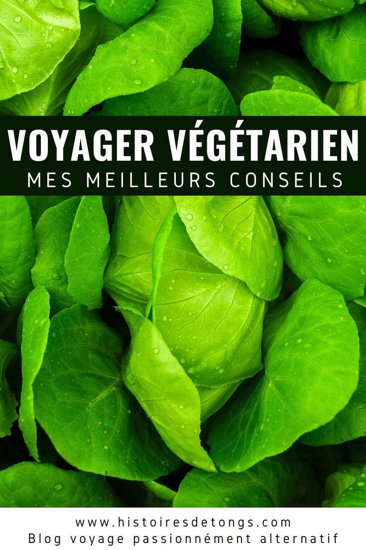 Comment être végétarien ou vegan (végétalien) en voyage ? Ce n'est pas si compliqué ! Voici de nombreux conseils pratiques, issus de mon expérience autour du monde... | Histoires de tongs, le blog voyage passionnément alternatif